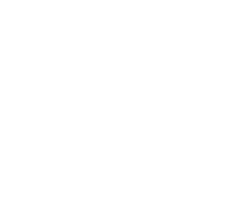Belife Insurance